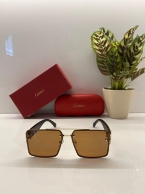 Branded Ctier Gold Brown Sunglasses EW